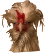 :chickenmean:
